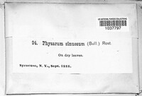Image Associated With the Occurence